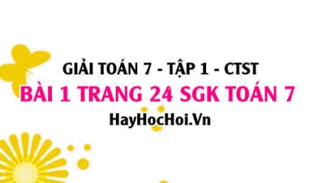 Giải bài 1 trang 24 Toán 7 Tập 1 SGK Chân trời sáng tạo